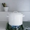 日本製野田琺瑯雙耳萬用蒸煮鍋