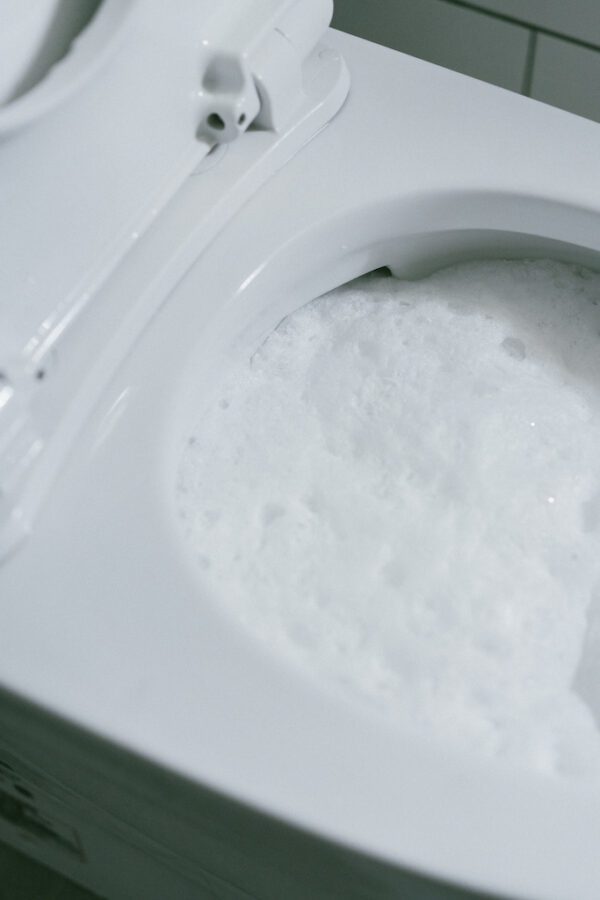 日本地球製藥馬桶泡沫清潔粉