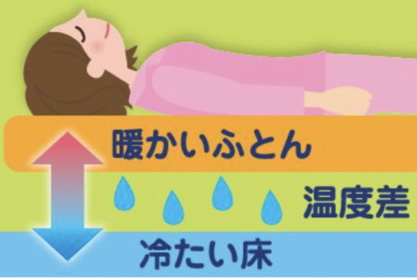 日本除菌吸濕床墊